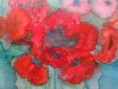 Mohn auf Sylt